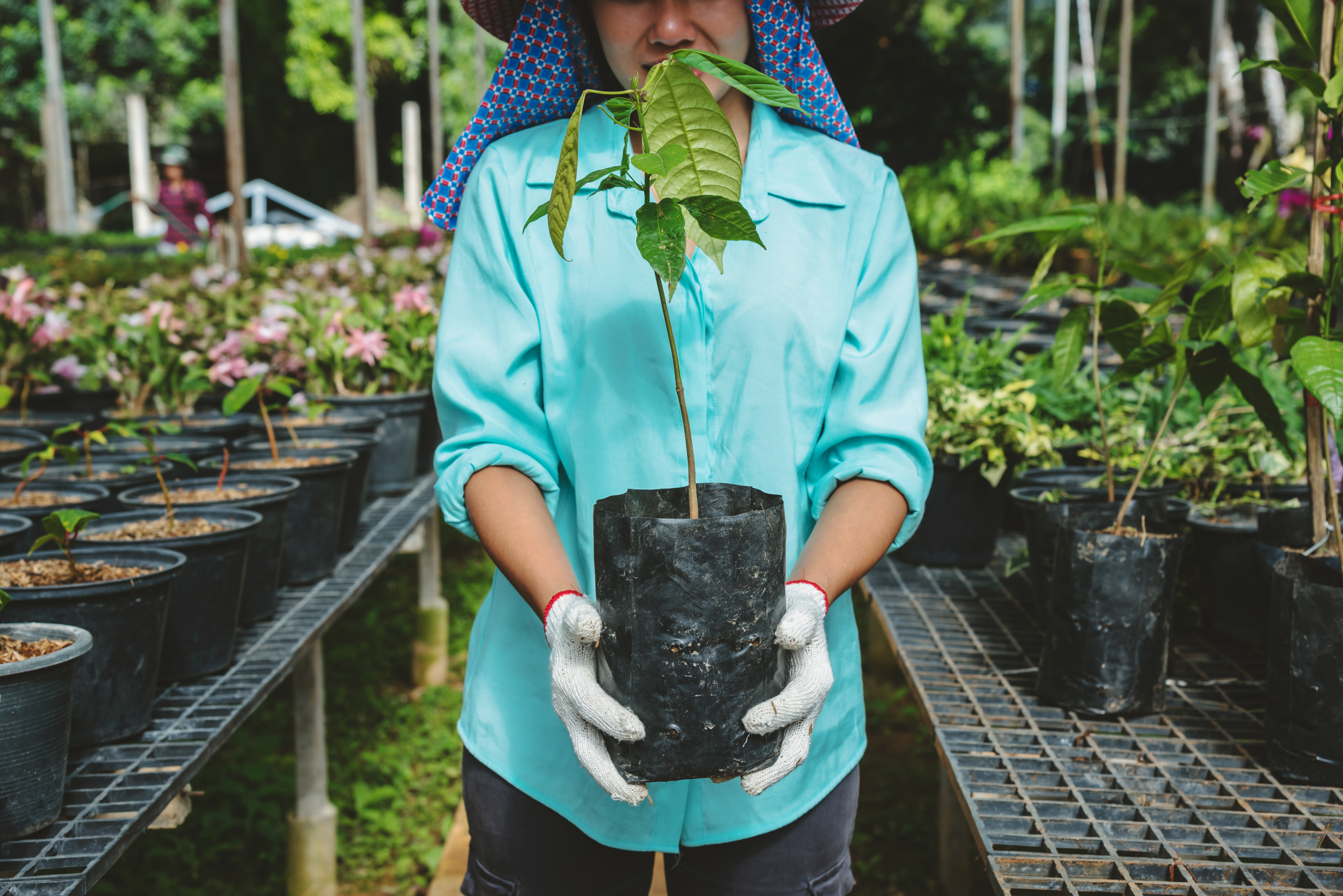 Biodiversity and nature-based solutions